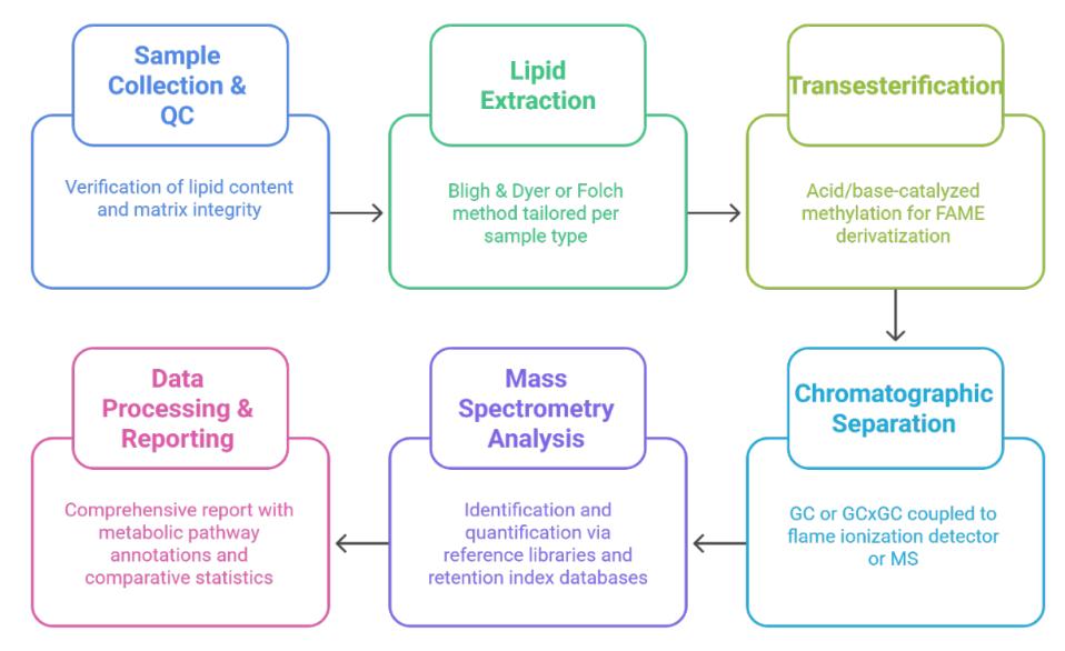Workflow of Fatty Acid Methyl Ester Analysis