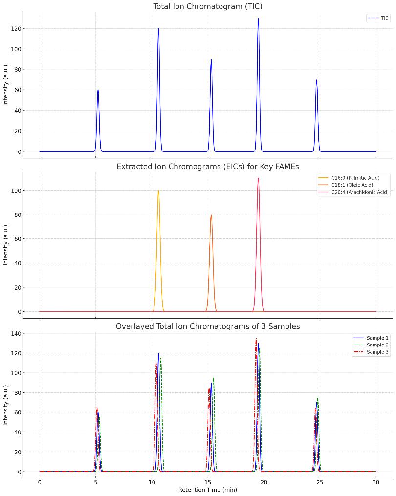 Representative GC-MS chromatograms showing total ion profile, extracted signals for key fatty acids (C16:0, C18:1, C20:4), and comparative TICs from three biological samples.