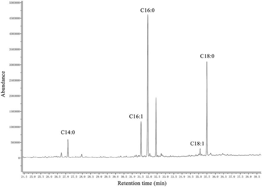 GC–MS chromatogram of analysis of free fatty acids extracted from phospholipid of H. parasuis SC096.
