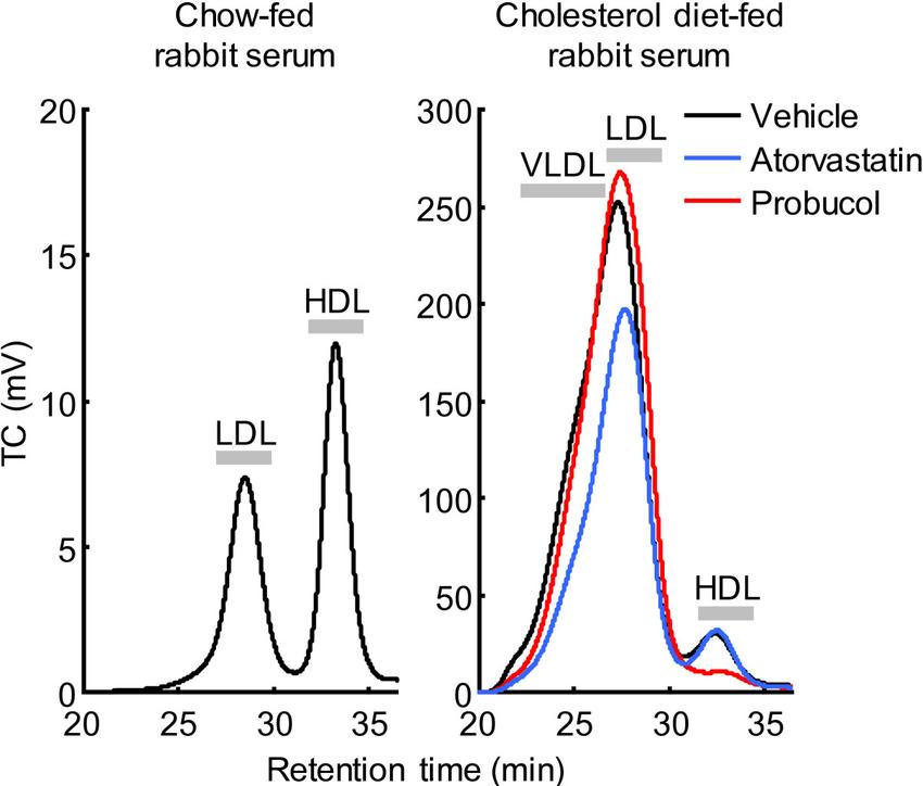 Analysis of serum lipoprotein profile by HPLC gel filtration.