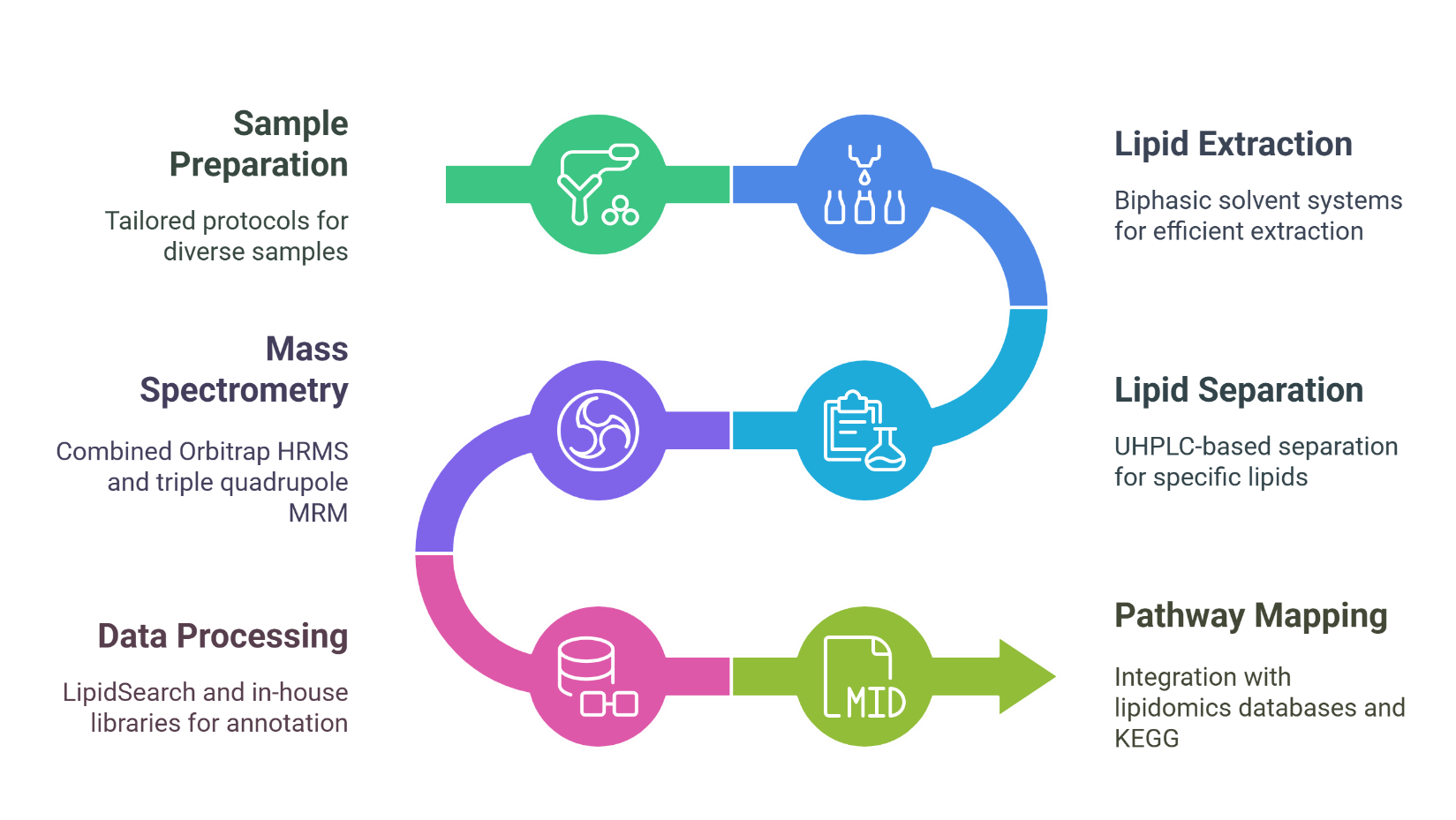 Workflow for Plant Lipidomics Analysis