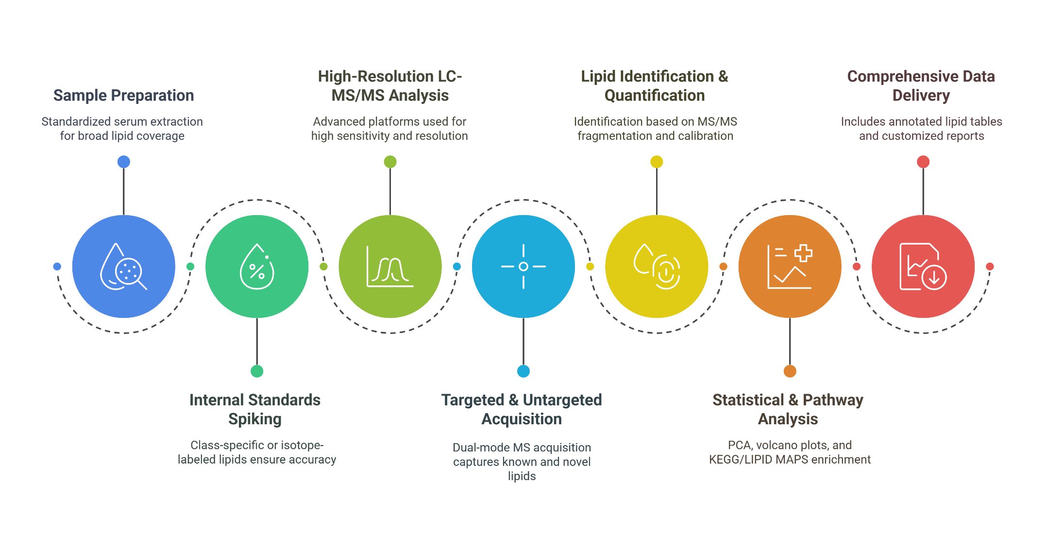 Workflow for Serum Lipidomics Analysis