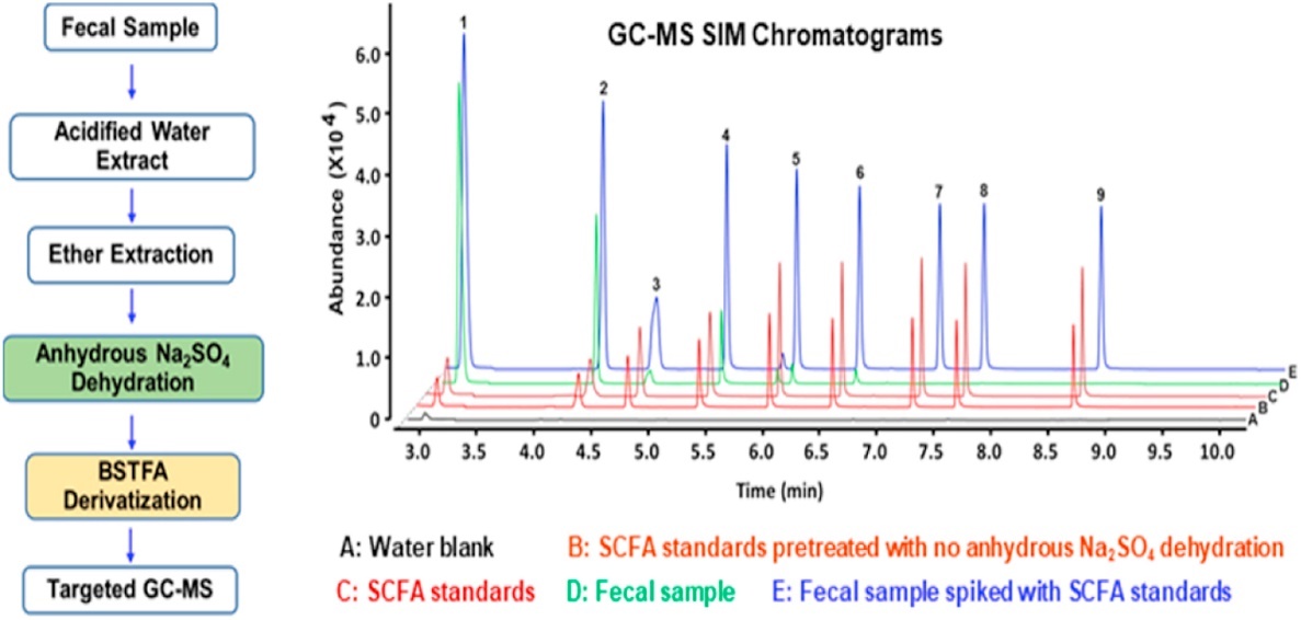 High-performance liquid chromatography electrospray ionization tandem mass spectrometry analysis of plasma lipoproteins and plasma lipoprotein free fraction