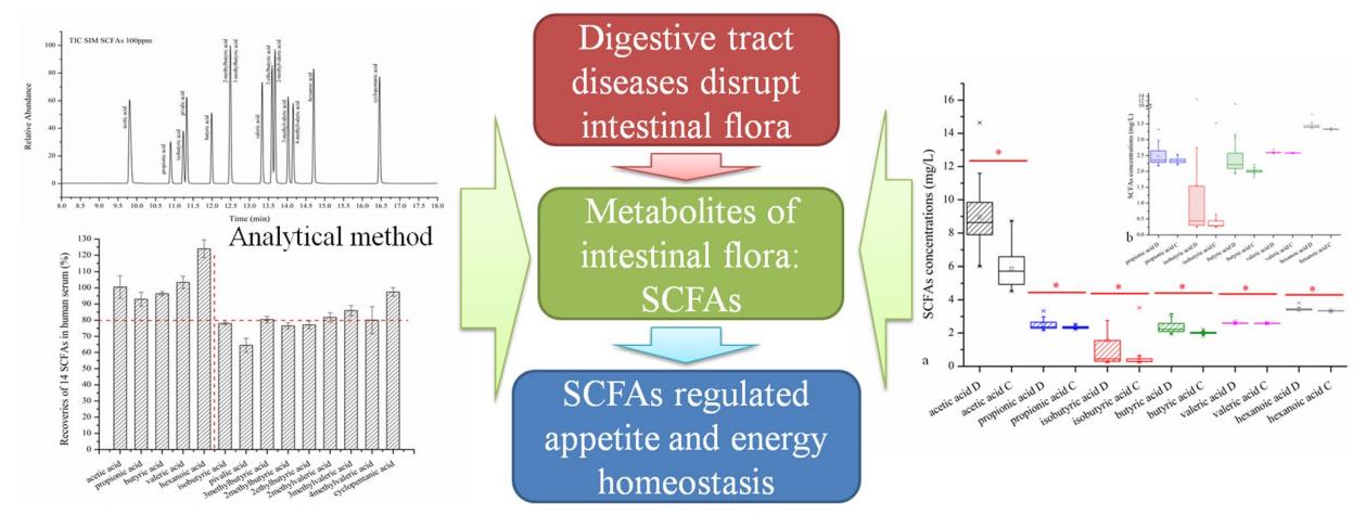 High-performance liquid chromatography electrospray ionization tandem mass spectrometry analysis of plasma lipoproteins and plasma lipoprotein free fraction