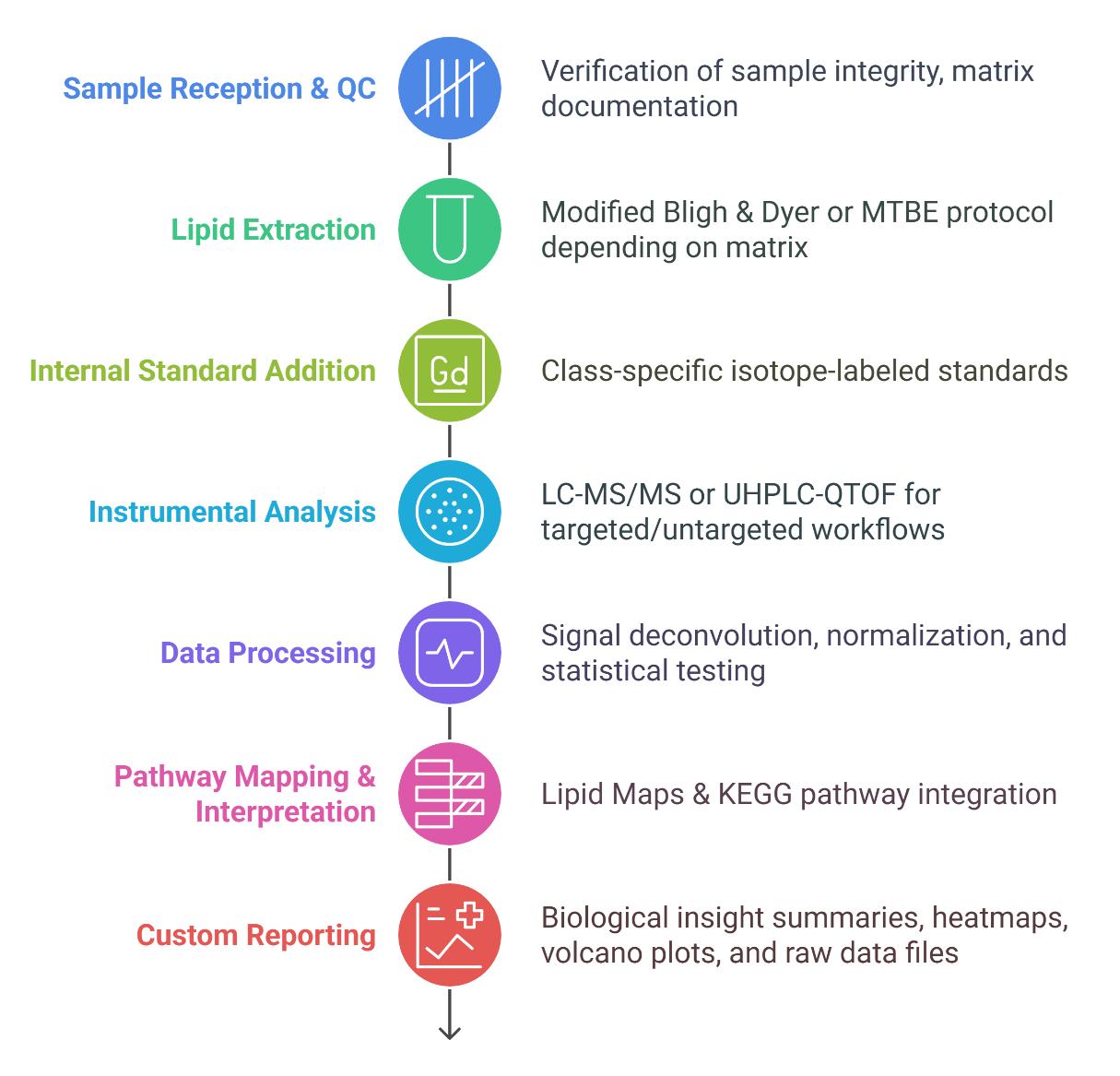 Workflow for Sphingolipid Analysis