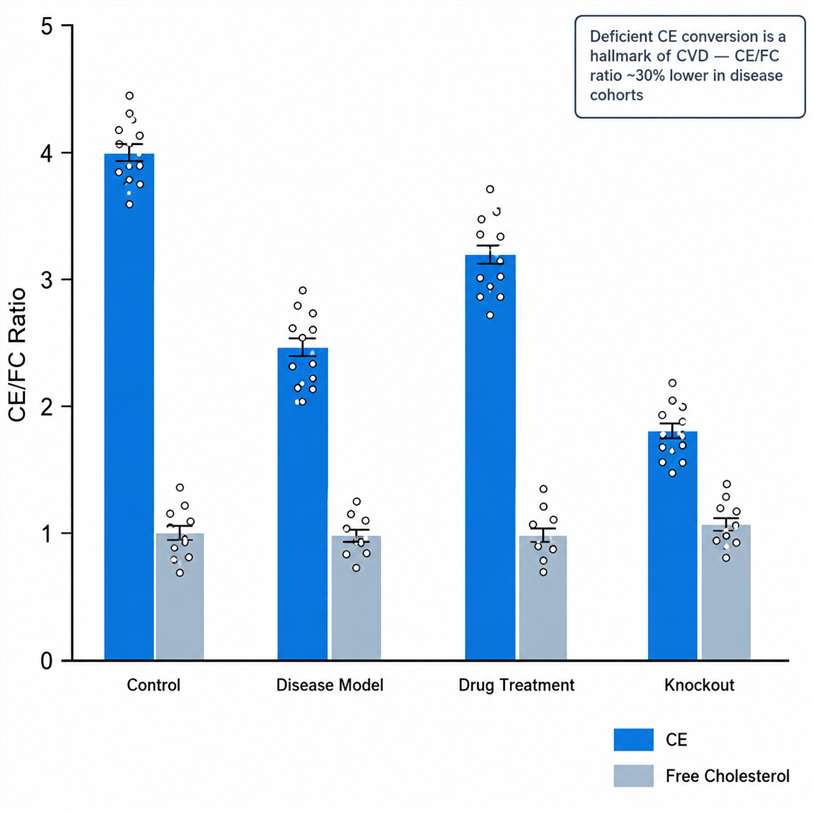 CE/Free Cholesterol ratio across experimental groups