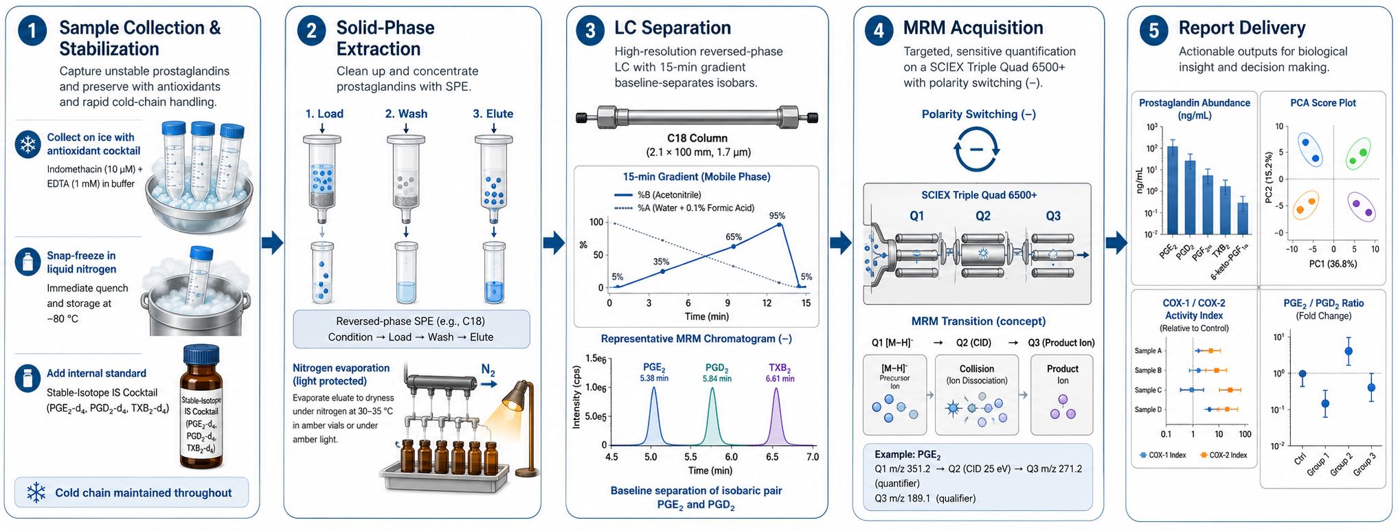 Prostaglandin analysis workflow: stabilized collection → SPE extraction → LC separation → MRM acquisition → report delivery