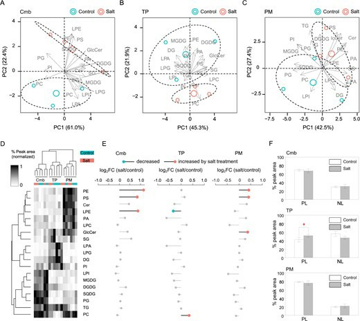 Plant stress lipidomics heatmap and multivariate view showing membrane-specific lipid remodeling in tonoplast and plasma membrane samples.
