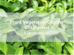Plant Vegetative Organs Untargeted Lipidomics