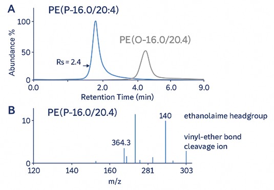 LC–MS/MS figure showing chromatographic separation of PE(P-16:0/20:4) and PE(O-16:0/20:4) with labeled MS/MS fragment ions confirming plasmalogen structure.