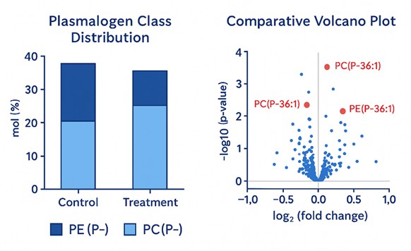 Dual-panel figure with bar chart of plasmalogen class distribution and volcano plot showing upregulated PE(P-36:1) and PC(P-36:1) species between experimental groups.