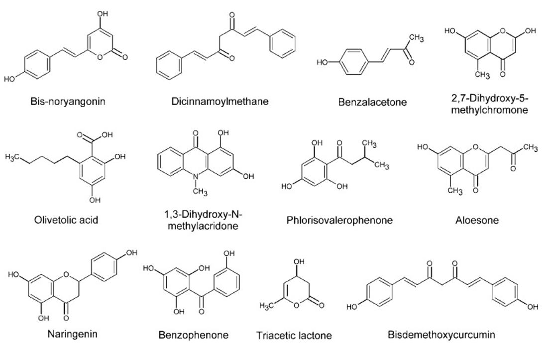 Polyketides Analysis Service