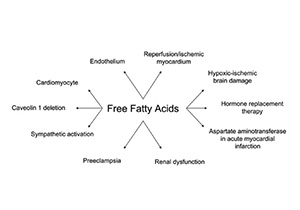 Analytical Methods to Quantify Free Fatty Acids