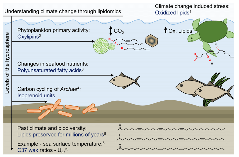 Applying lipidomics to climate change science in the hydrosphere