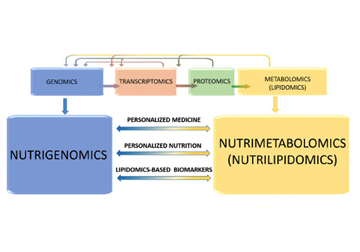 Application of Lipidomics in Nutrition and Health
