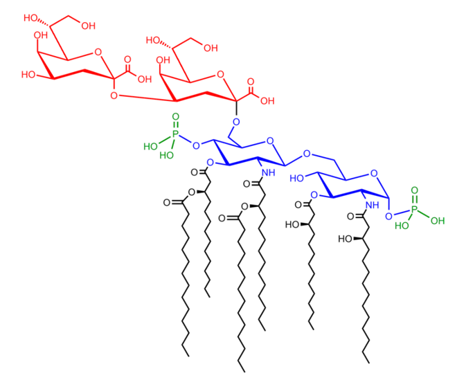 Saccharolipids Analysis Service