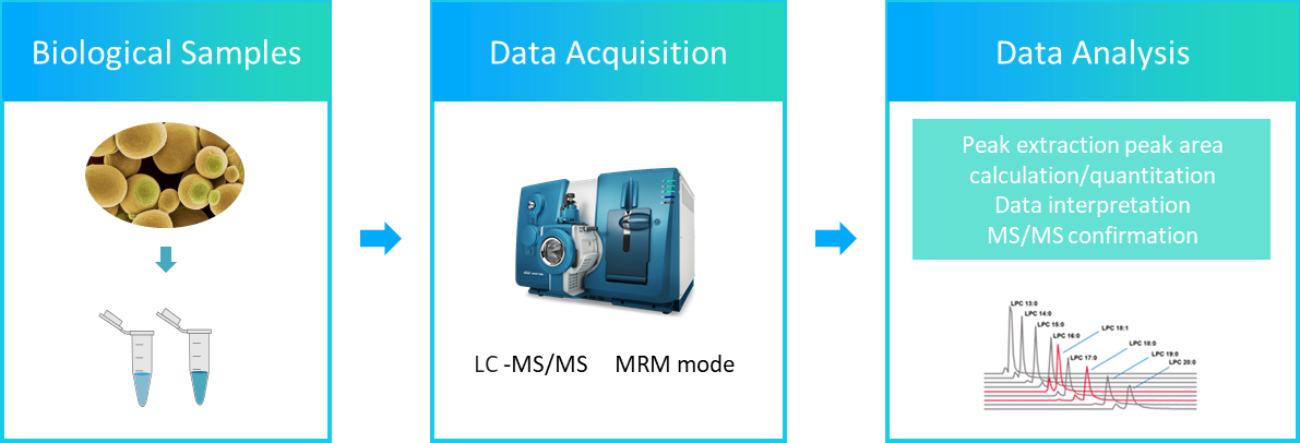 The workflow of sophorolipids analysis service