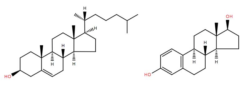 Sterol Lipids Analysis Service