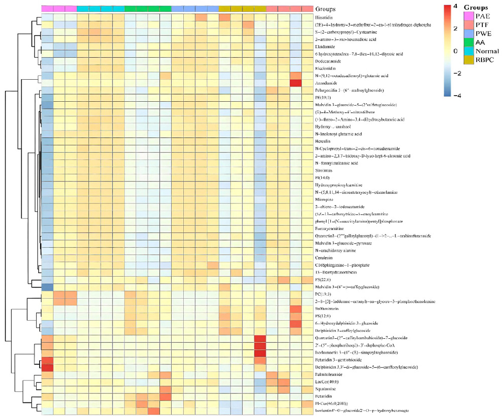Heat map showing relative changes of differential lipid metabolites across experimental groups.