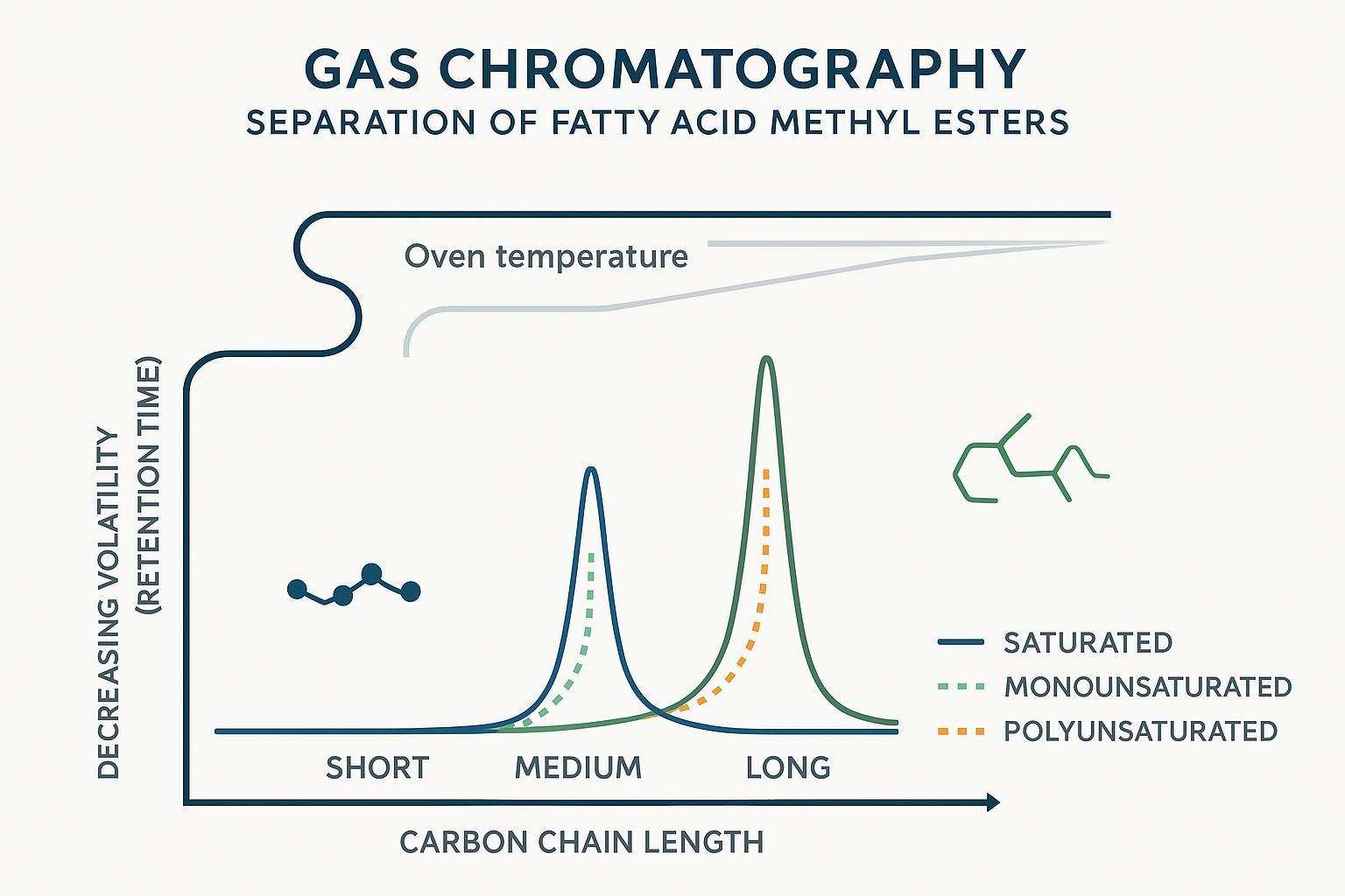 How Saturated Fatty Acid Structure Affects GC Separation and Quantitative Accuracy