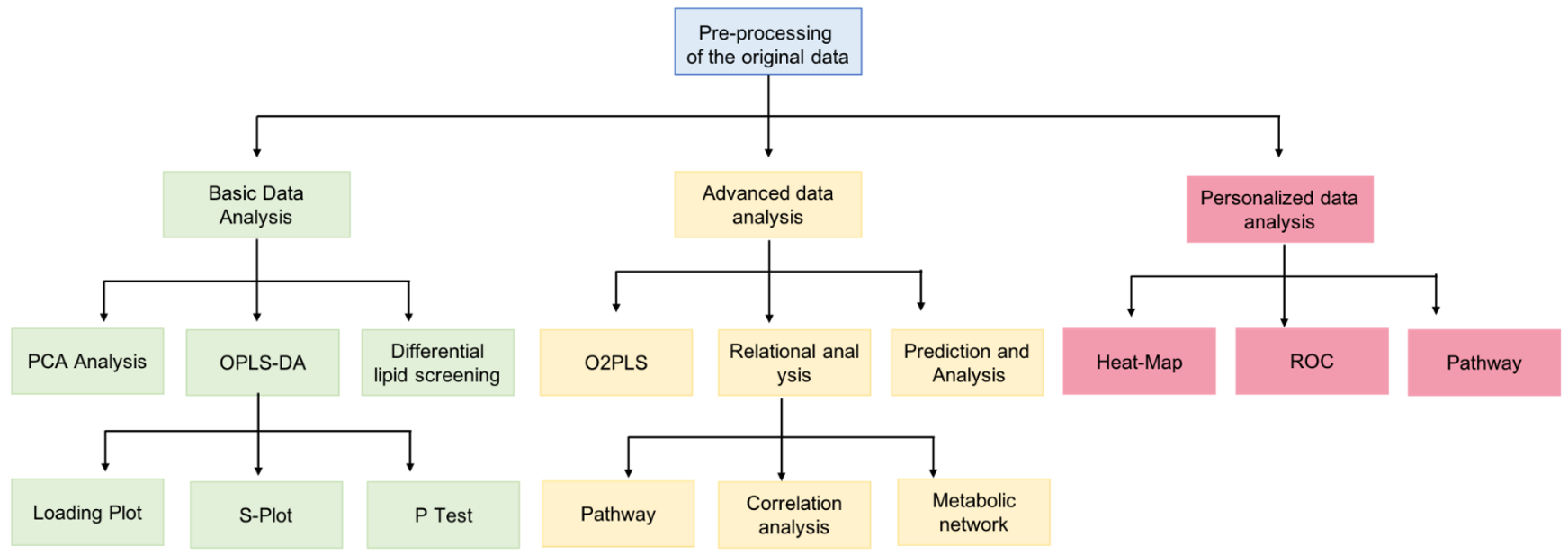 Lipidomics Bioinformation Analysis