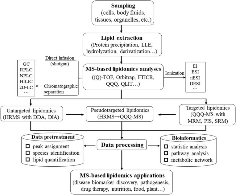 A workflow of MS-based analytical strategies for untargeted, targeted and pseudotargeted lipidomics.
