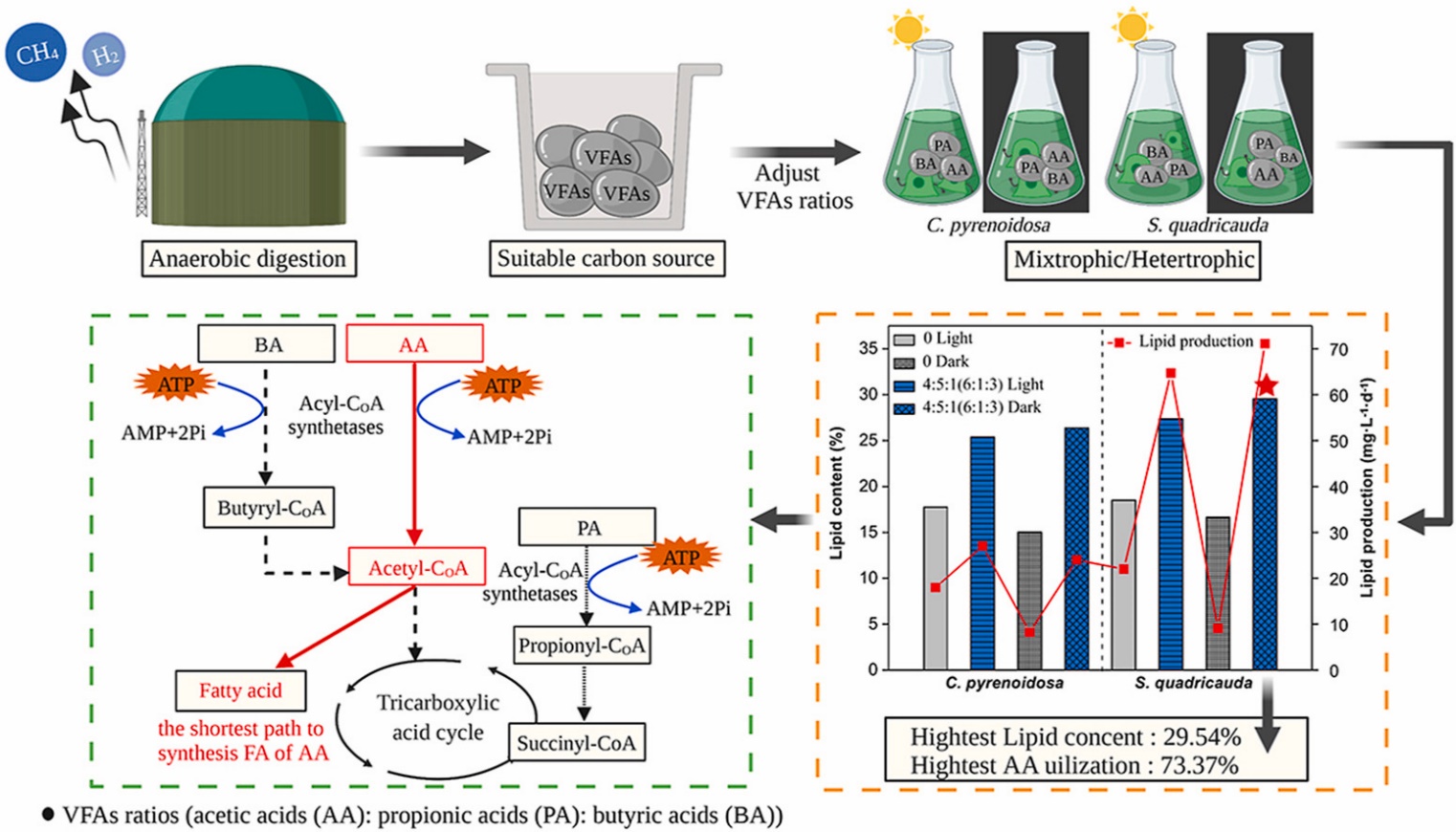 The effect of volatile fatty acids on the growth and lipid properties of two microalgae strains during batch heterotrophic cultivation