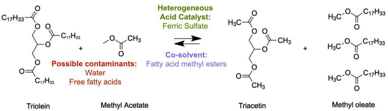 Fatty acid methyl ester production via ferric sulfate catalyzed interesterification