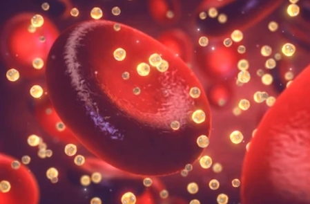 What is Lipoprotein?