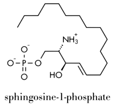 What is Sphingosine