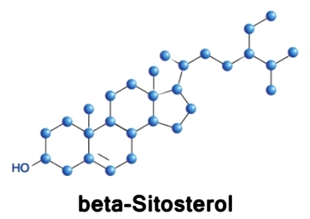 What is Sterol?