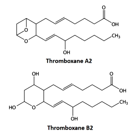 What is Thromboxane