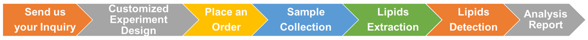 Lipidomics in Food Safety Assurance